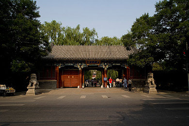 锵锵三人行被禁的原因：社交游戏《锵锵三人行》被禁内幕：色情低俗赌博问题引关注
