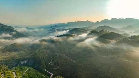 五月激情综合网：“五一热潮下，聚焦特色内容，揭秘网络舆论新焦点”