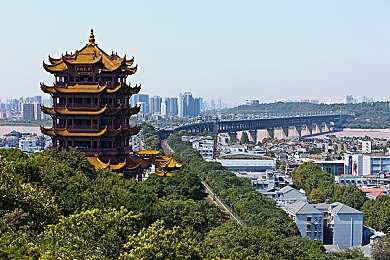 年轻.娇小.亚洲.日本语.夹：跨文化桥梁：矮小身躯里的中日交流巨能量，李晓梅书写亚洲骄傲传奇-3