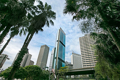 大波罗福建网站大全：福建网站资源整合新突破，大波罗平台助网民便捷生活体验