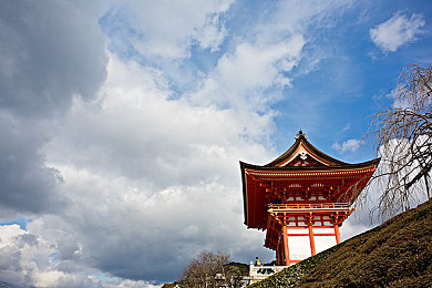 爱情岛vip：揭秘神秘岛屿：探寻爱情岛游戏魅力，浪漫之旅等你开启-3