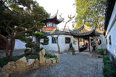 绿巨人视频污：净网风暴：舆论压力下，网络低俗内容遭遇严打，共建清朗网络空间-5