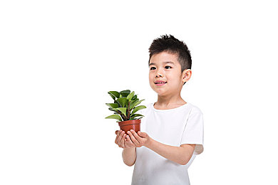 一男一女一起搓搓搓搓搓搓：麻将搓乐，社交新潮流，轻松一搓笑开颜