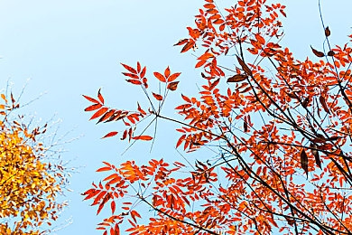 黄片的入口：游戏秘境探秘，奇幻奇遇尽在其中