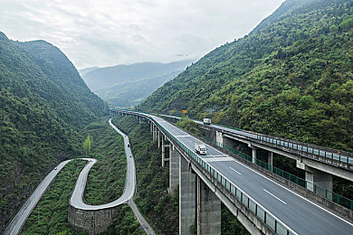 呦呦色：奇幻色彩之旅，探索呦呦色外的神秘乐园