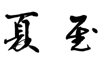 荒野大镖客2女技师怎么触发：探寻《荒野大镖客2》神秘女技师：解锁西部冒险新篇章