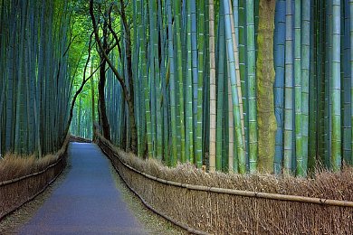 钢钢钢钢钢钢钠好多水啊免费：“奇幻力量之战：揭秘游戏盛宴的神秘口号”