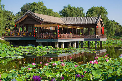 蜜芽影院：影视盛宴新篇章，在线观影新体验，蜜芽平台璀璨绽放
