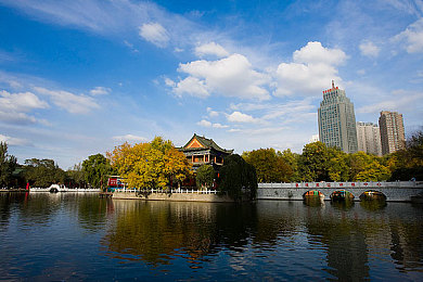 黄片软件在线下载：数字迷雾下的隐秘诱惑：揭秘网络色情软件下载背后的风险与挑战