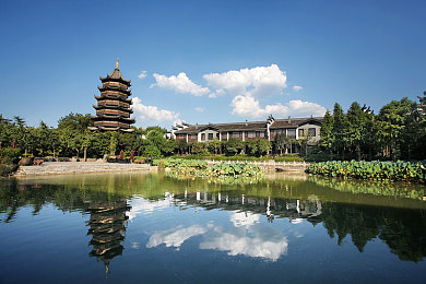sp打屁股网站：独特玩法引关注，sp游戏网站崛起：创新模式助力玩家社交与公益
