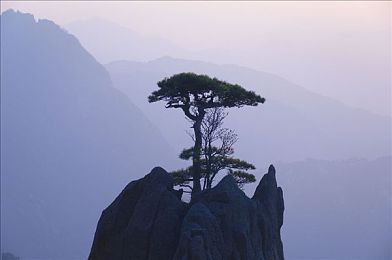久久久成品人精品人的区别：揭秘品质生活密码：区分“久久久”与“精品人”，掌握生活品质新秘籍-2