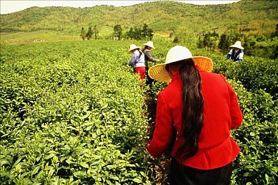 男人被绑住无限制取精sm：禁锢阴影：自由与道德的边界试炼-1