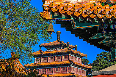 水阳朝阳十大经典作品：探寻水阳朝阳奇幻世界：揭秘十大游戏经典之作独特魅力