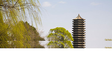 東京热APP：隐私风波中的成人应用：东京热事件拷问内容创新与用户权益-2