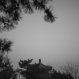 混乱家庭：家庭纷争背后，和谐之路待探索-1