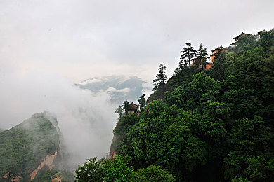 雷神与丘丘人繁殖后代：融合奇幻新篇章：雷神丘丘混血后代养成记，开启跨种族冒险之旅-2