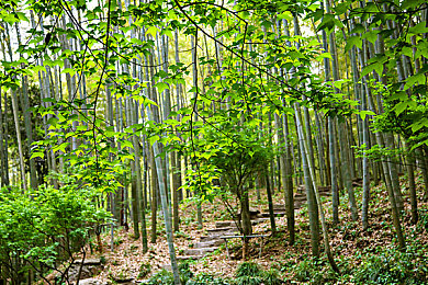 中文在线最新版天堂8：天堂8全新升级，视觉盛宴与无限可能，畅享游戏新篇章-3