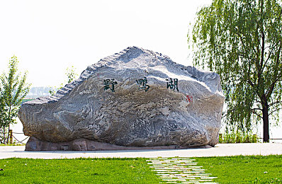 非洲黑女人的生殖大：揭开非洲女性生殖奥秘：探寻生命奇迹的独特魅力