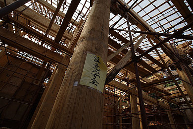 98精产国品一二三产区区：农业新地标，三地绽放丰收画卷-2