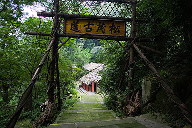 黑人巨茎破金发女郎：《荒野求生》神秘挑战引热议：破解“黑人巨茎与金发女郎”之谜，解锁游戏新境界