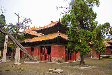 51黑料反差裱：《暗影之境》揭秘：反差魅力角色，神秘51号传奇之旅-3