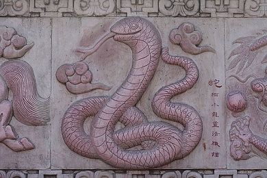 黑润润是卖的嘛：“天然护肤新宠黑润润：销量飙升，热议不断，揭秘其火爆背后的秘密”