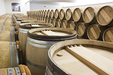 童帝10部巅峰作品：童帝传奇：盘点中国游戏界巅峰之作，揭秘十大经典游戏背后的故事