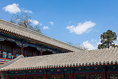 空中女士美国满天星原名叫什么：空中舞者传奇：探寻陈晓薇艺术足迹-3