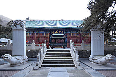 不知火舞和三小男孩在森林公园：游戏女神奇遇记：森林奇缘与心灵成长之旅-3