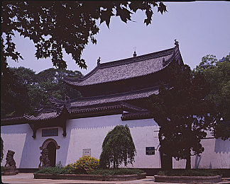 孕妇裸体╳乂ⅹ孕交乂乂╳╳：网络暴力冲击伦理底线，孕妇事件敲响文明警钟
