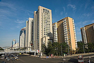 日本仙踪林和xzl仙踪林的区别：探寻东方秘境：揭秘日本仙踪林与xzl仙踪林的异同之旅