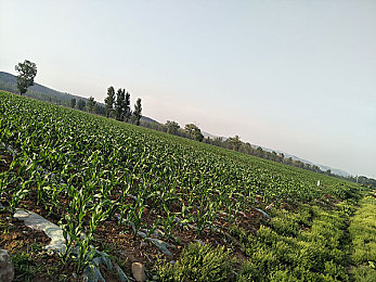 爱情岛vip：揭秘神秘岛屿：探寻爱情岛游戏魅力，浪漫之旅等你开启-2