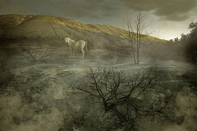 最美馒头B：美食魔法融合，探寻“最美馒头”游戏世界甜蜜诱惑-1