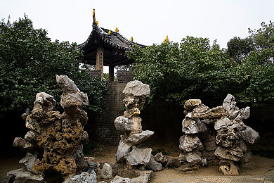 乌克兰摘花自由出血管：乌克兰花语传奇，自由绽放的浪漫抗争-1