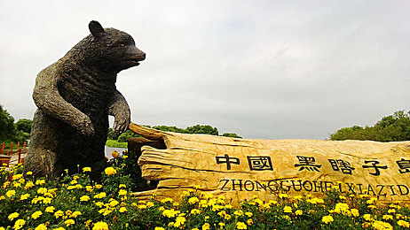 成人草莓视频：网络监管升级：揭秘“成人草莓视频”风波，共同守护清朗网络空间-4