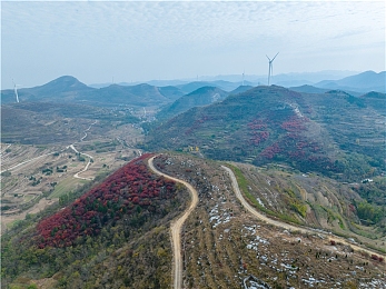 三宫椿无码流出ssni863：网络危机：隐私守护者，揭秘安全防线-2