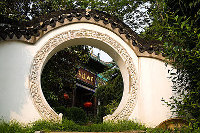 李蓉蓉：逆境奋斗，绽放梦想之花-2