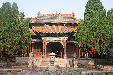 老王头的幸福晚年宋雨蝶：邻里情深，共筑夕阳乐悠悠-2