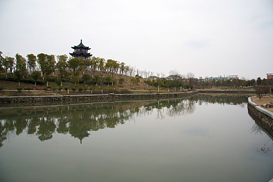 z00sk00as大狗锁：奇幻冒险之旅：深度解析z00sk00as大狗锁攻略与玩家热评-2