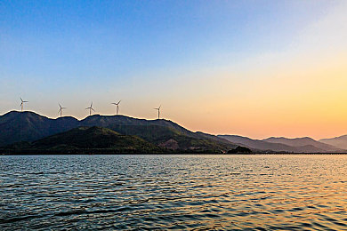 秋葵污网站：网海奇观：秋葵奇境，创意视觉盛宴