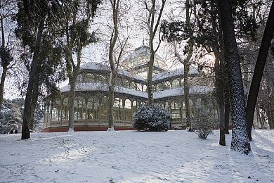 女人与公牛一伋毛片：艺术融合之旅：探索女性与公牛视觉奇遇