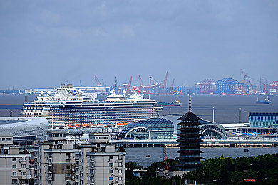 被触手怪侵犯玩弄尿孔：暗室逃生：触手怪阴影下的惊悚求生之旅-2