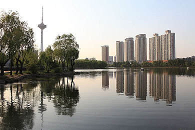 小说推文小括号和大括号：“括号编织文学魅力，社交媒体推动网络繁荣新篇章”-3