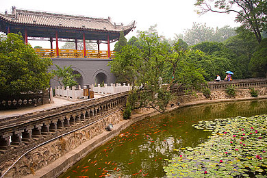 五月丁香久久：丁香花海奇境游-2