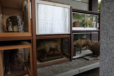 00粉嫩馒头学生一线天品种：校园青春滋味，一线天馒头回味无穷
