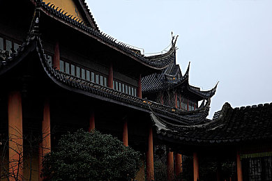 大豆行情网免费网站大全：大豆行情掌中宝，农业致富助手一网打尽-4