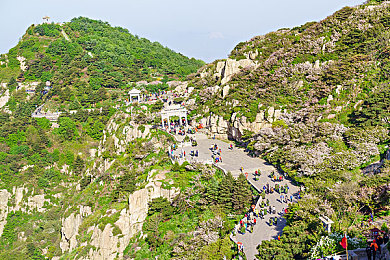 女人趴下脱了内裤光着打屁股：秩序之巅：道德挑战之旅-3