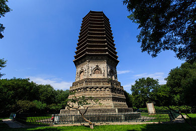 久久这里只有99：畅游奇幻游戏世界，揭秘“久久”快乐之旅的独特魅力-4
