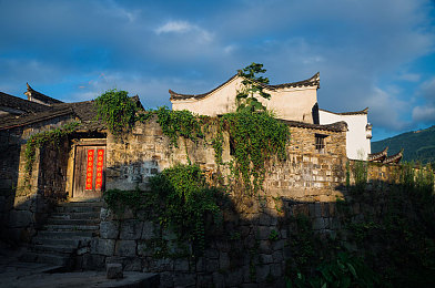51朝阳吃瓜群众：轻松资讯，笑点爆棚，娱乐生活新伴侣-1