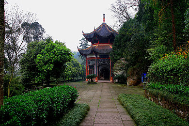 时宜涨奶需要周生辰帮忙：“明星友谊升温：时宜涨奶求助，周生辰紧急驰援，娱乐圈友谊典范引热议”-2
